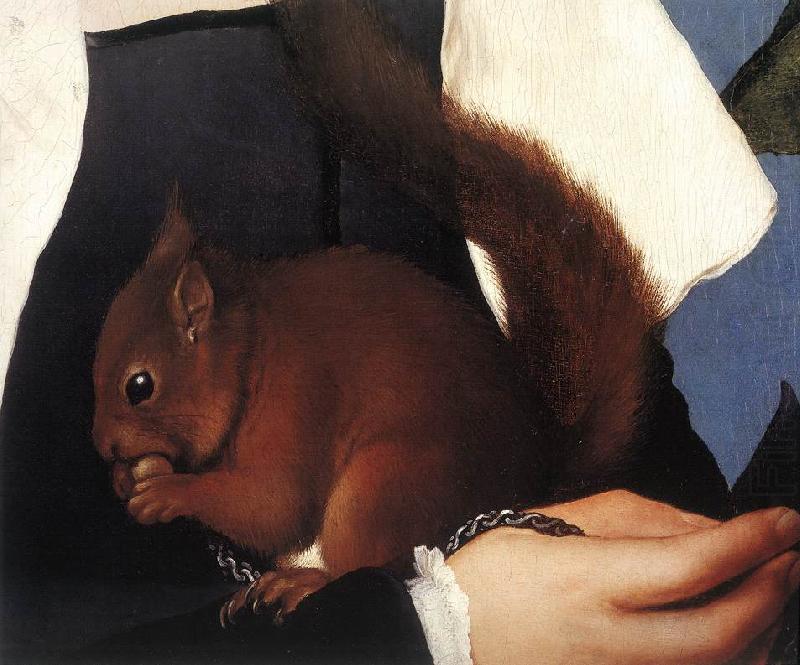HOLBEIN, Hans the Younger Portrait of a Lady with a Squirrel and a Starling (detail) sf